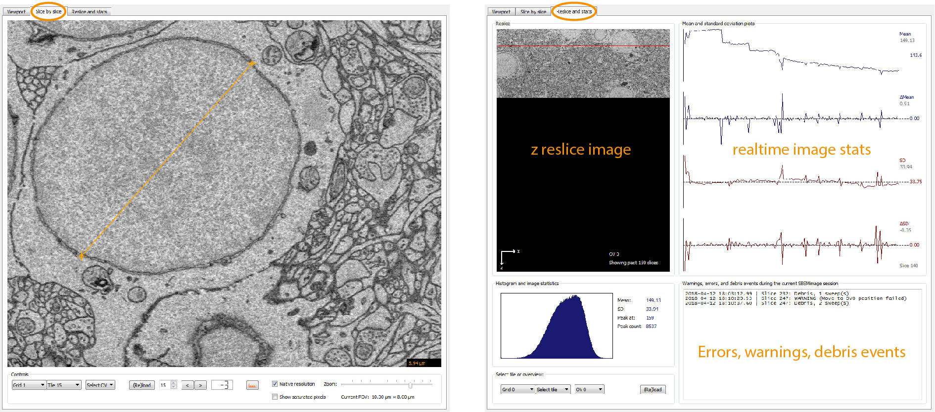 Slice-by-slice Viewer and Acquisition Monitor